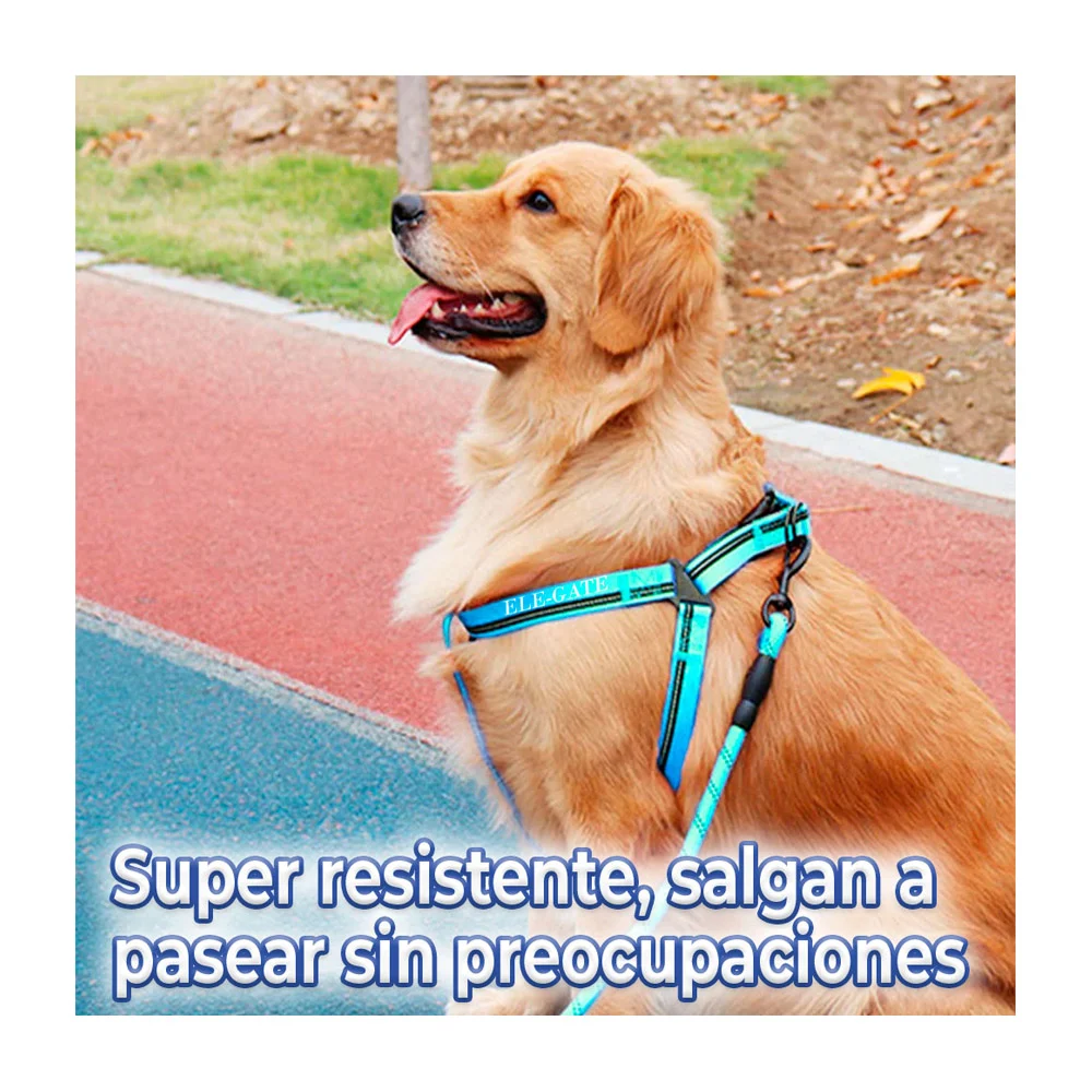 Imagen 4