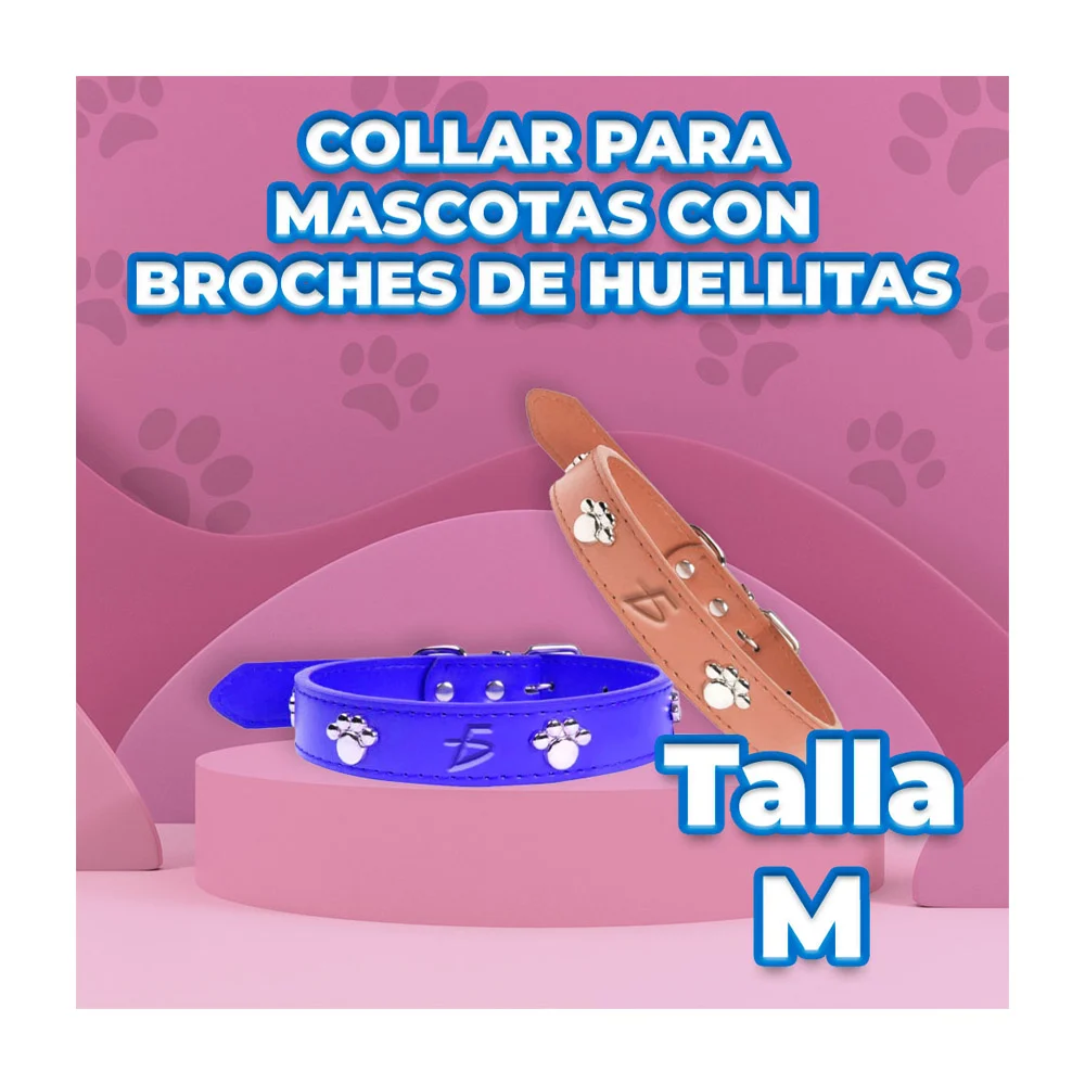 Imagen 6
