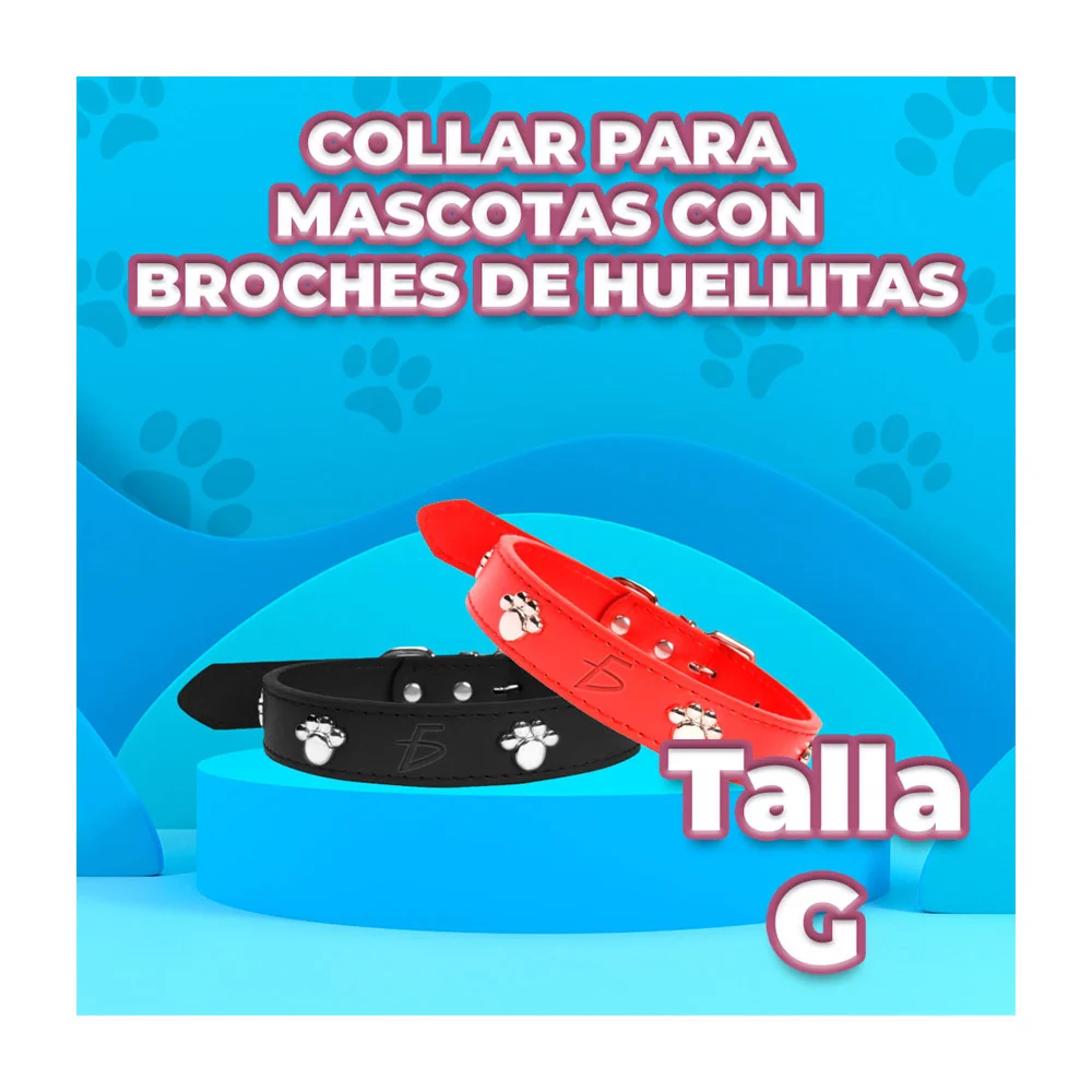 Imagen 5
