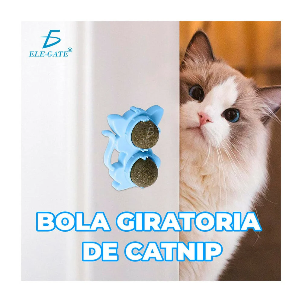 Imagen 4