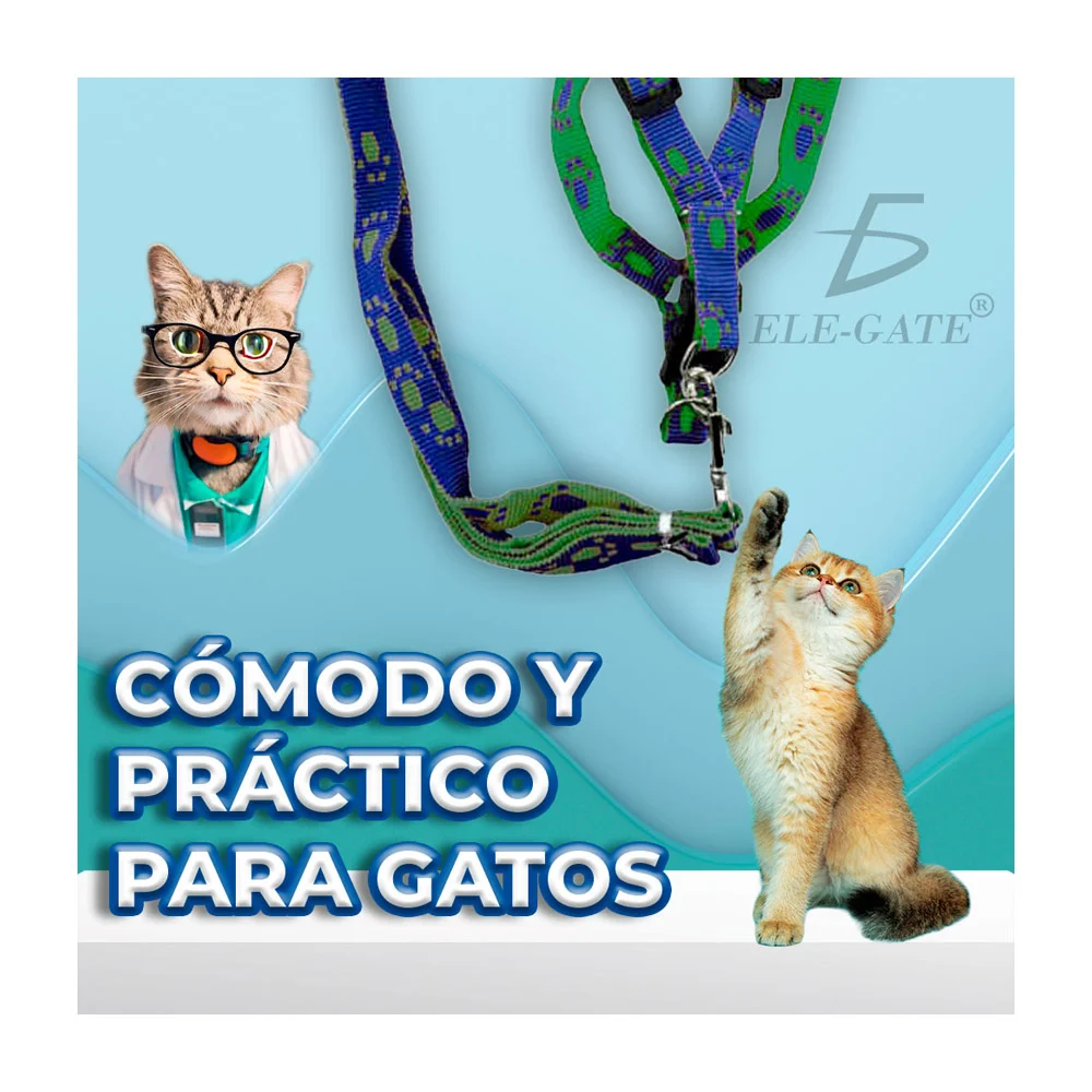 Imagen 3