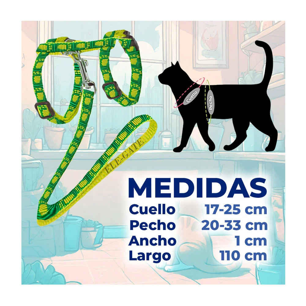 Imagen 6