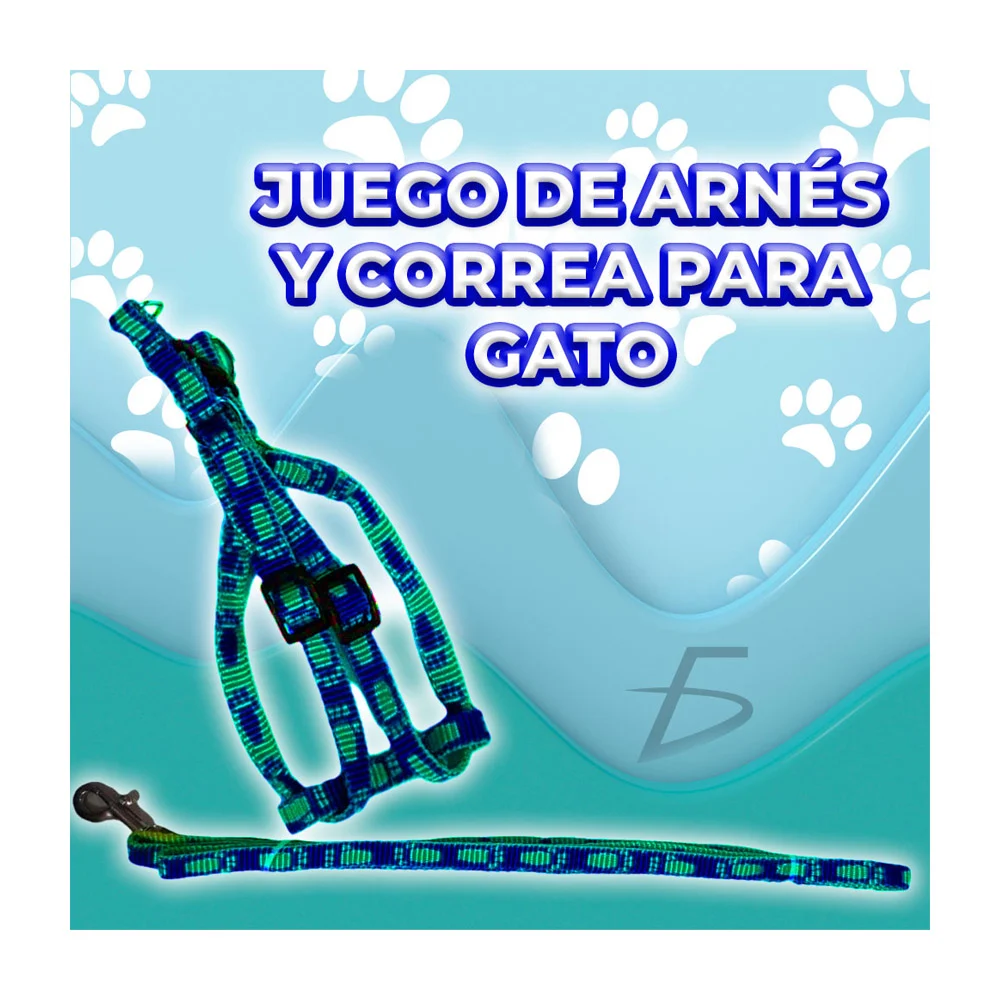 Imagen 5