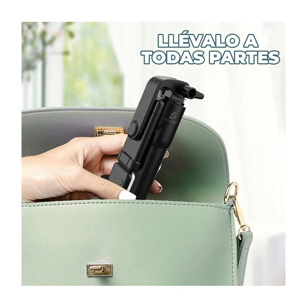 Imagen 7