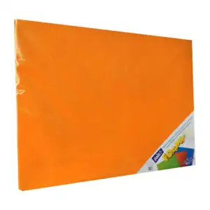 Paquete con 10 hojas de foamy liso tamaño 4 cartas o 43x56cm color na…
