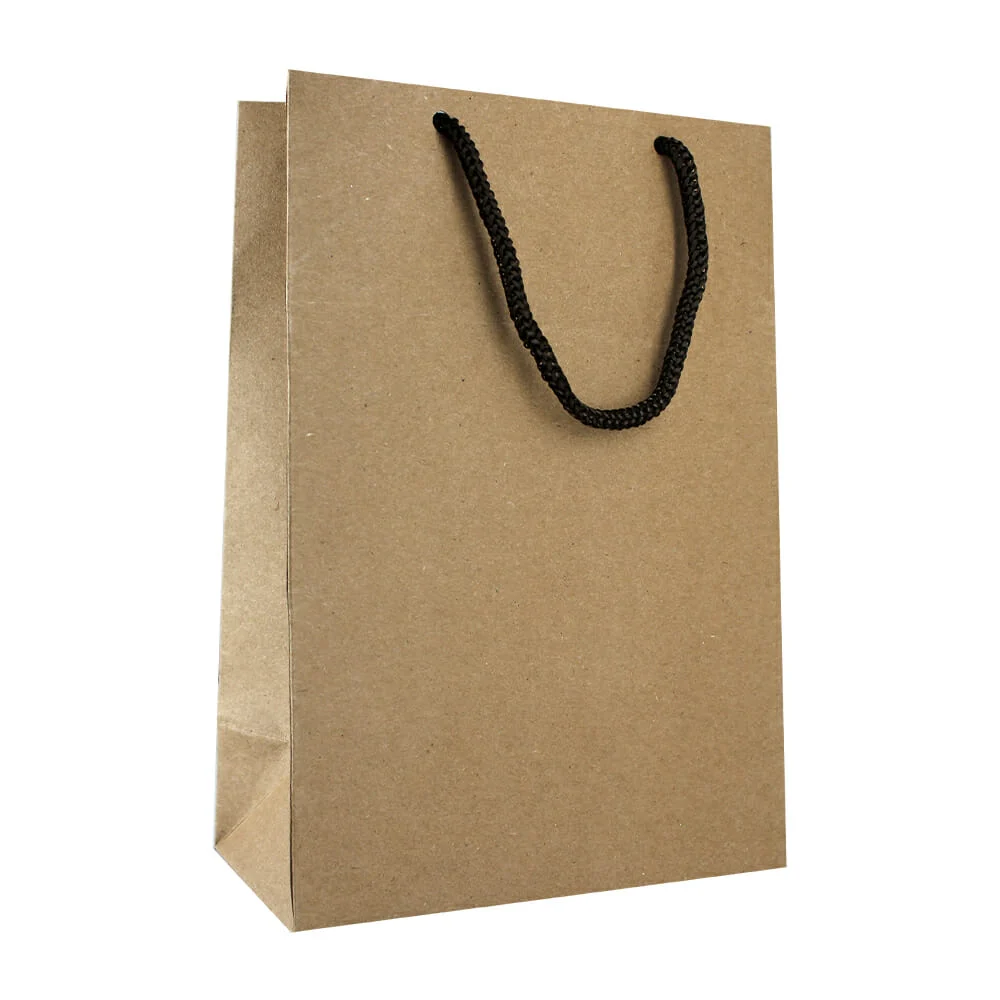 1pza Bolsa chica lisa dipak de papel kraft para regalo 15.1x8.3x22cm / 012939