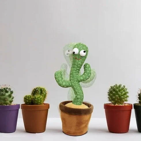 Cactus bailarin