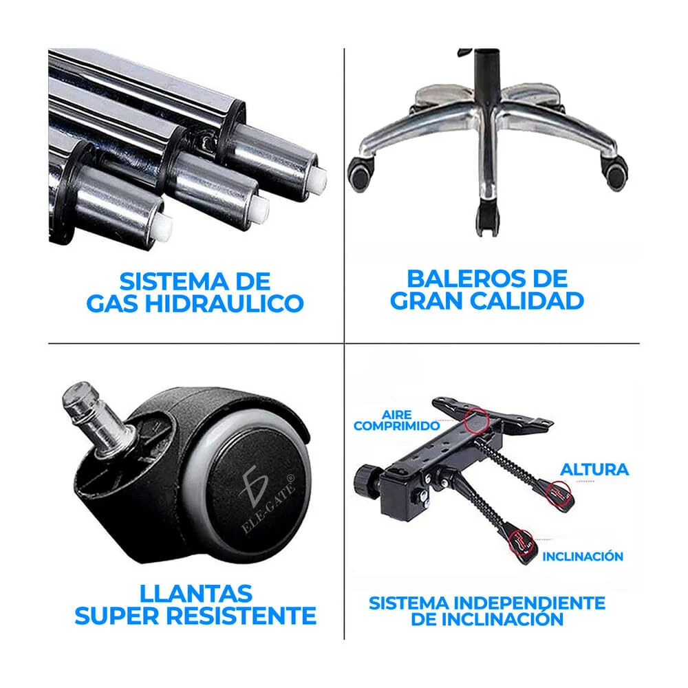 Galería