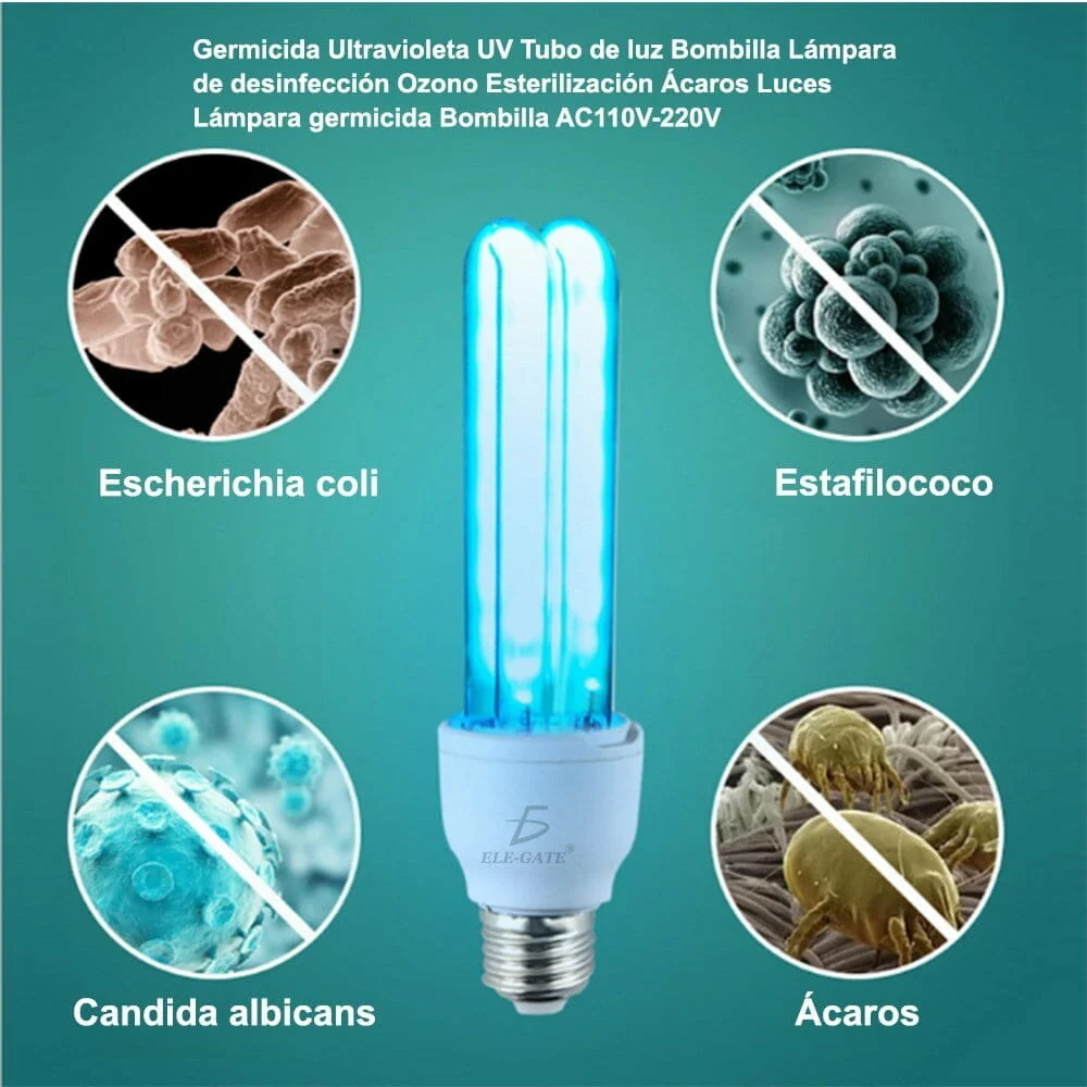 Imagen 7