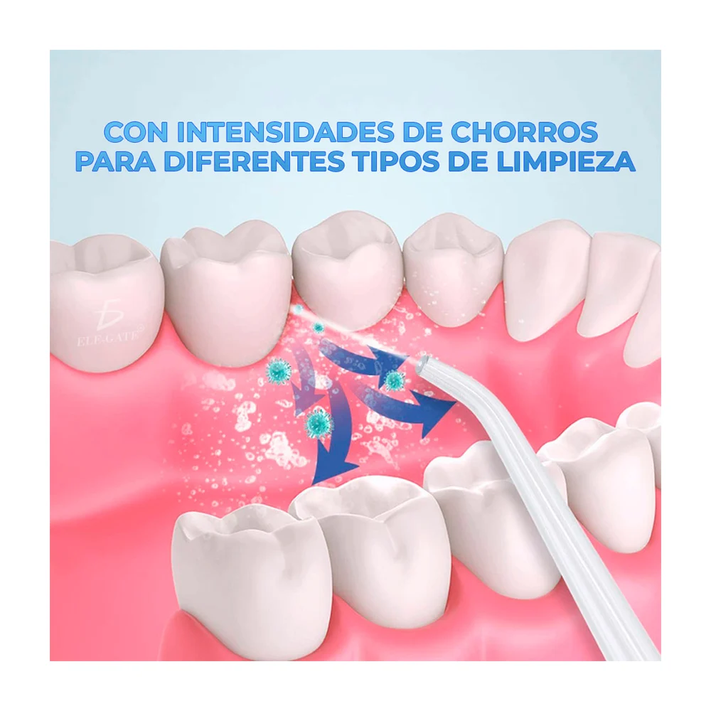 Galería