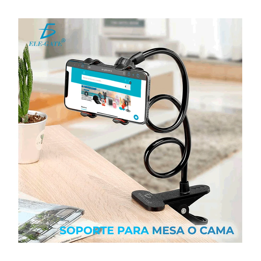 Galería