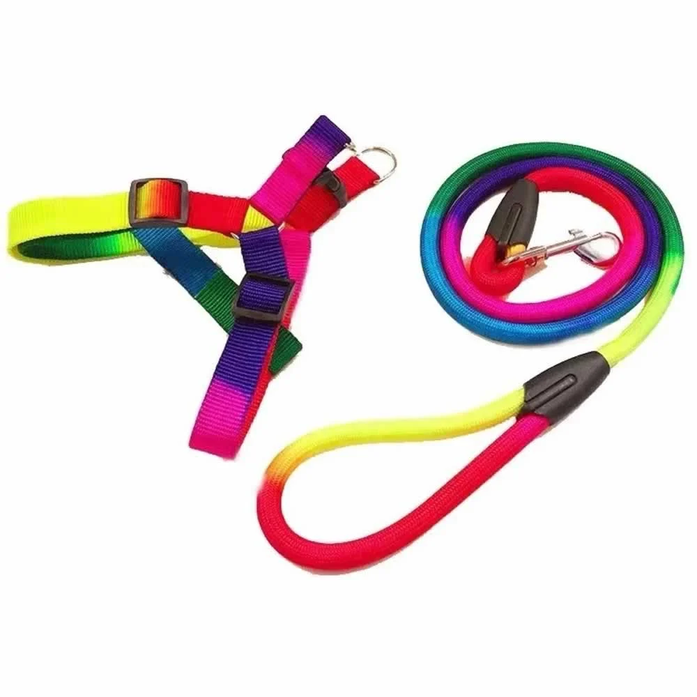 Set correa y arnés multicolor grande para mascota jr1450