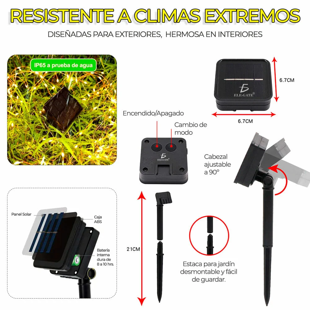 Galería