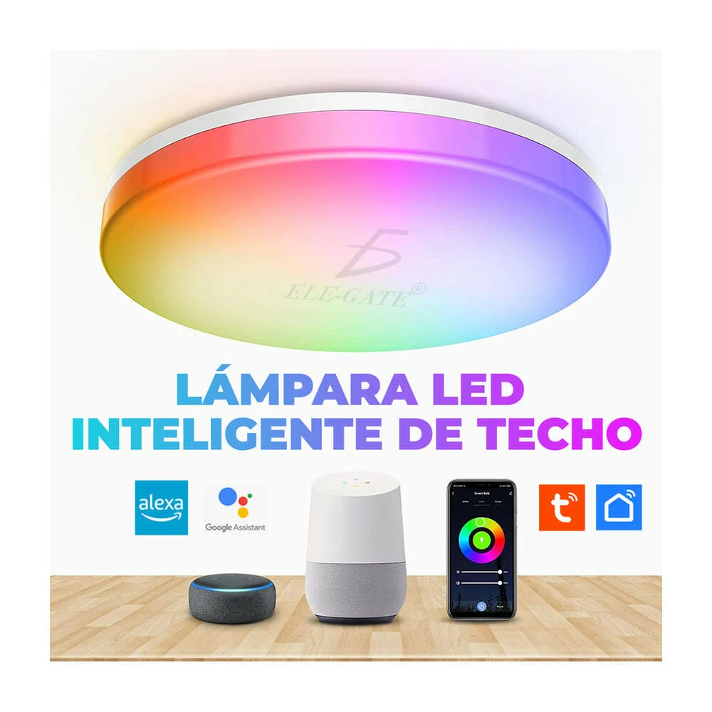 Imagen 5