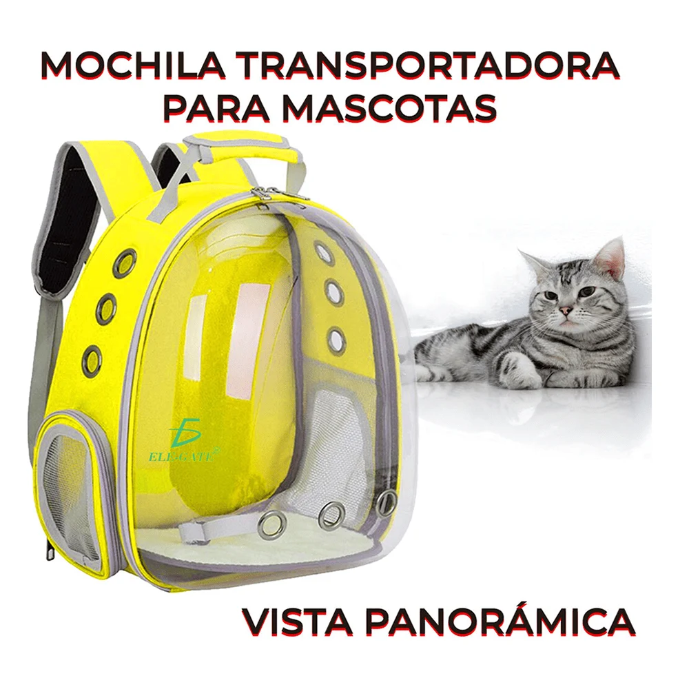 Imagen 3