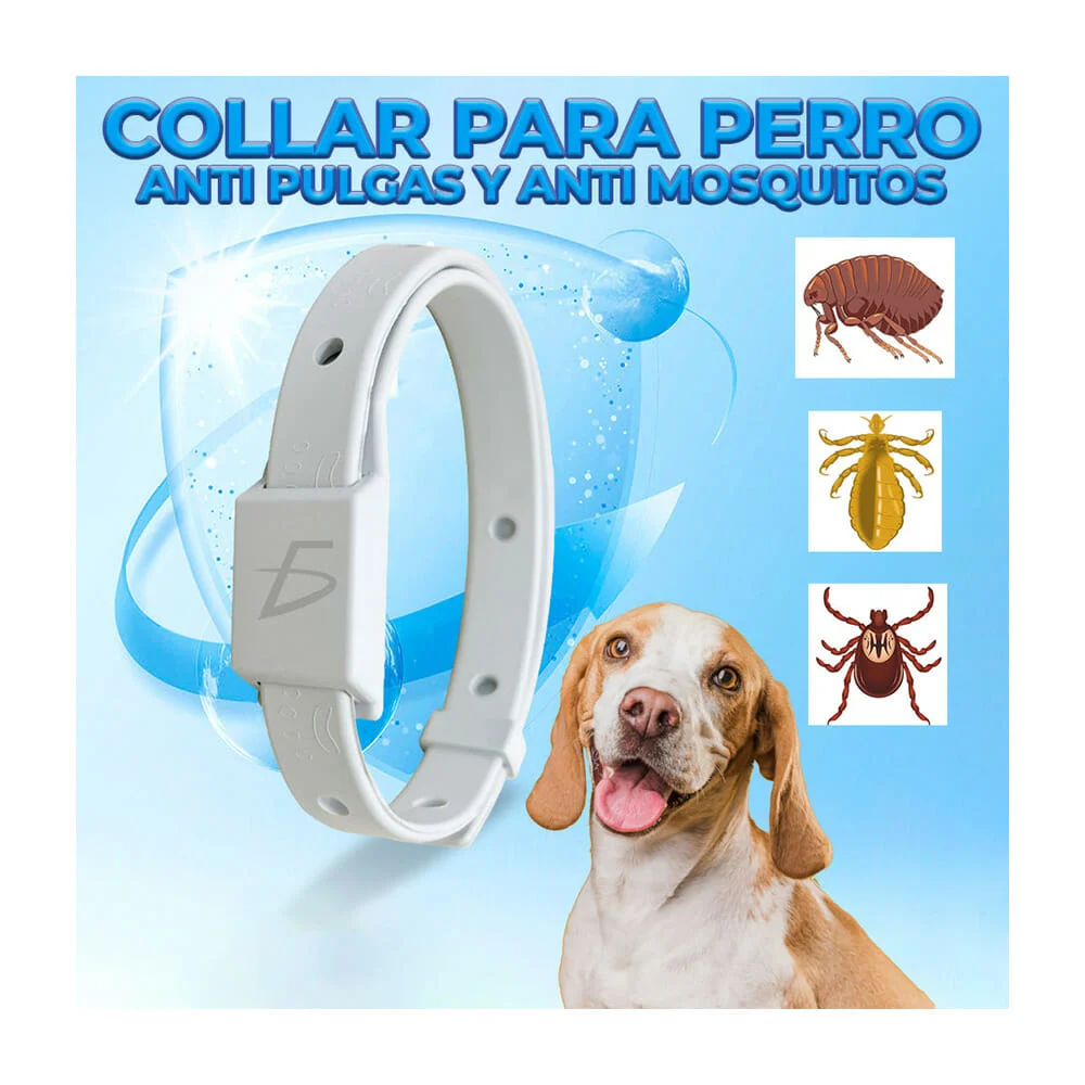 Galería