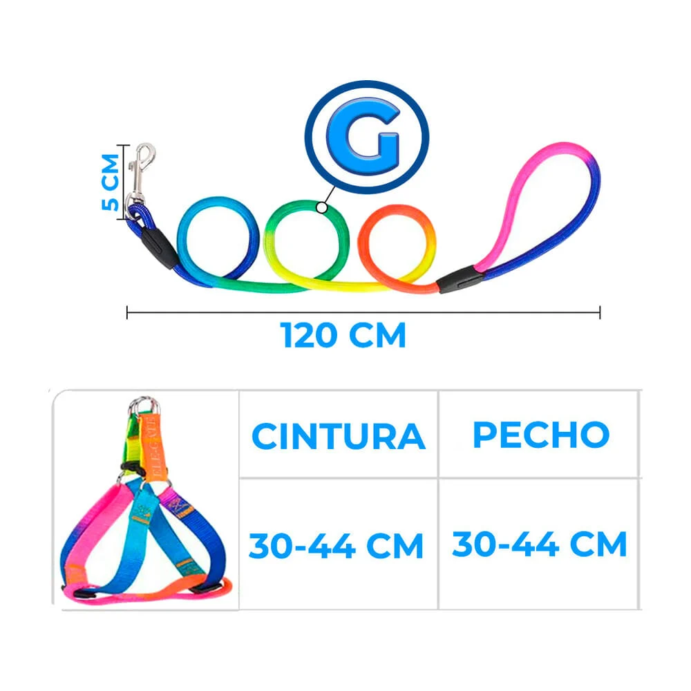 Imagen 3