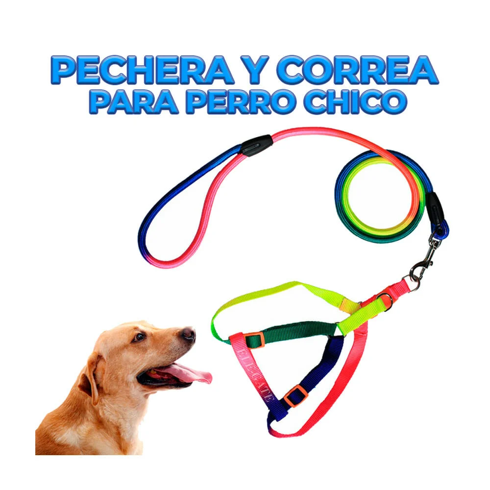 Juego con correa de 1.2 metros y pechera multicolor talla chica para mascota / mas.25.s