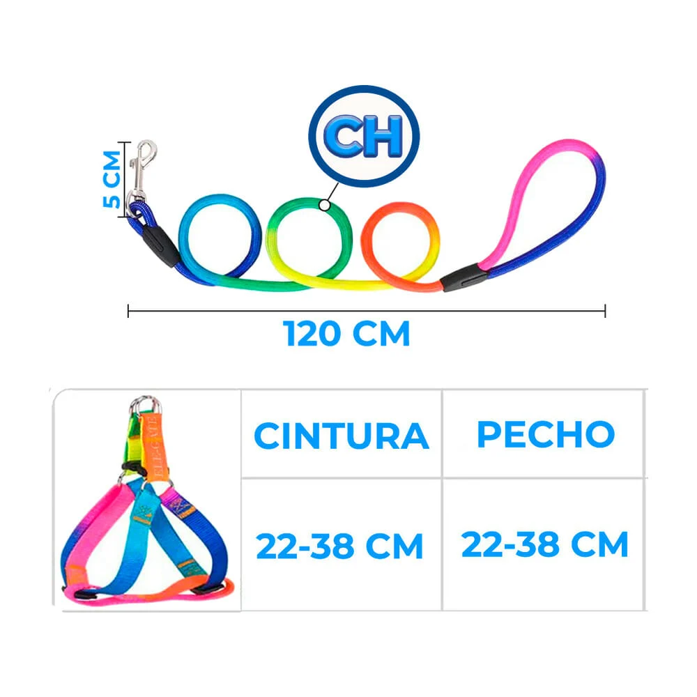 Imagen 6