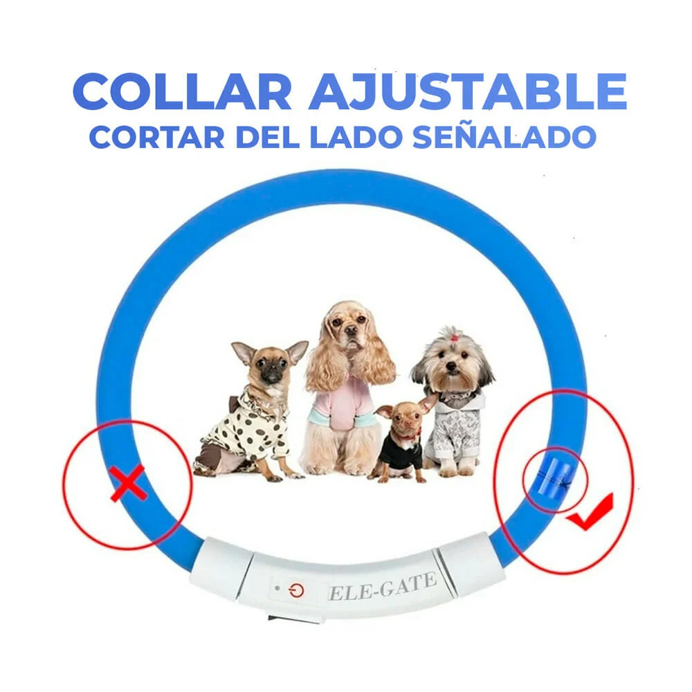 Galería