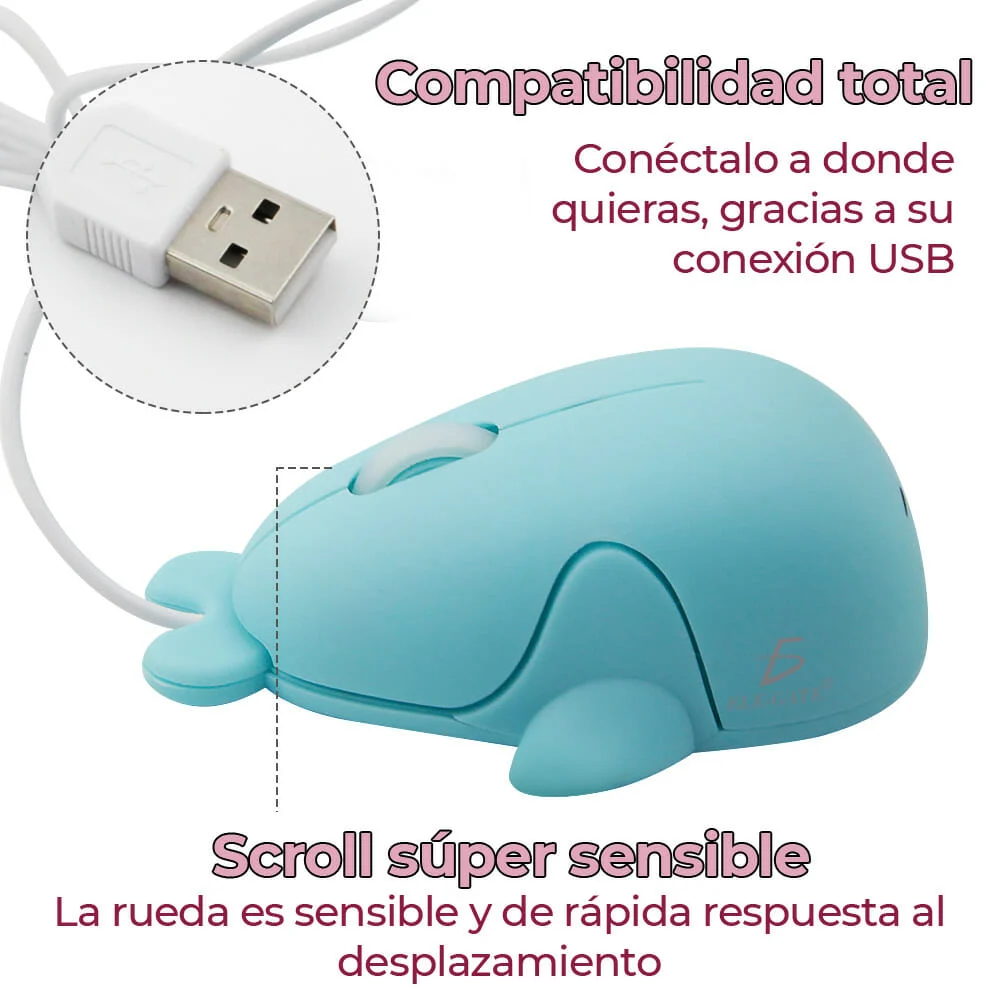 Galería