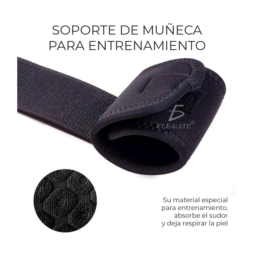Galería