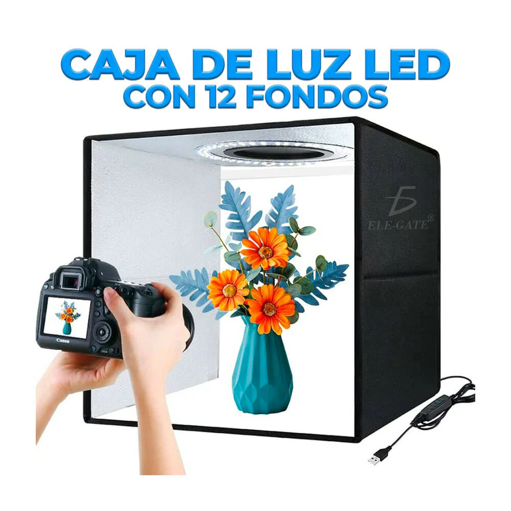 Galería