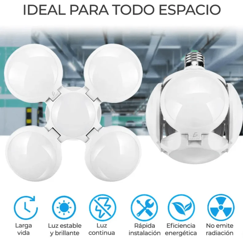 Galería