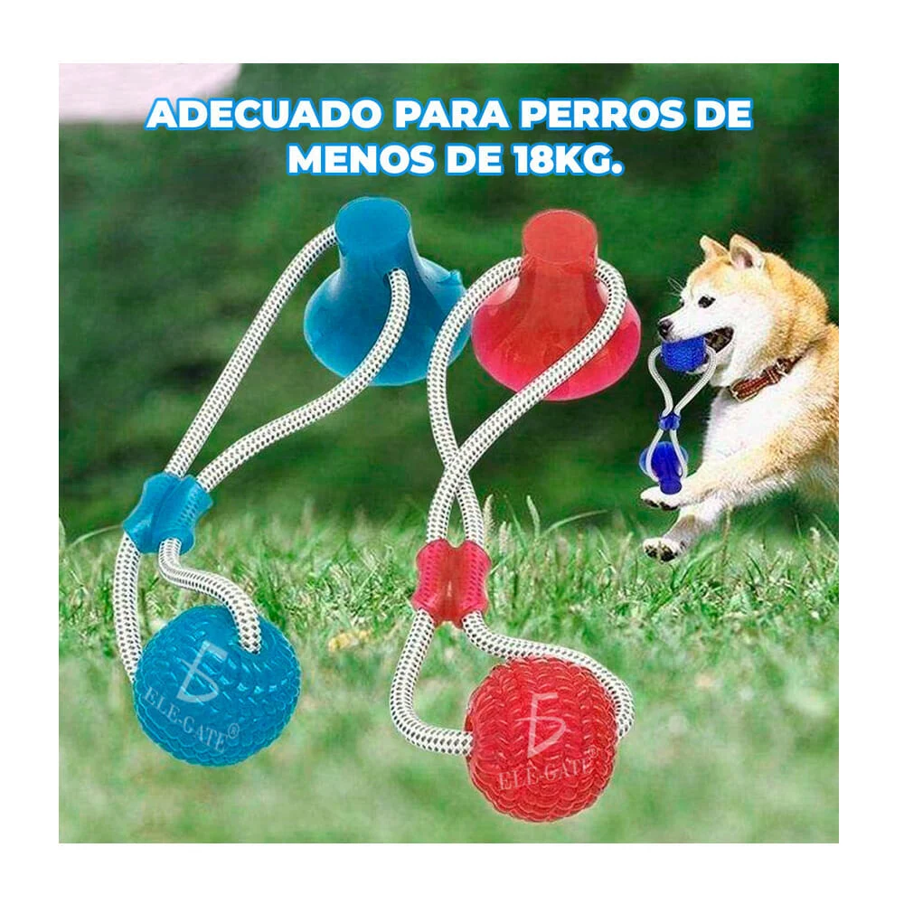Galería