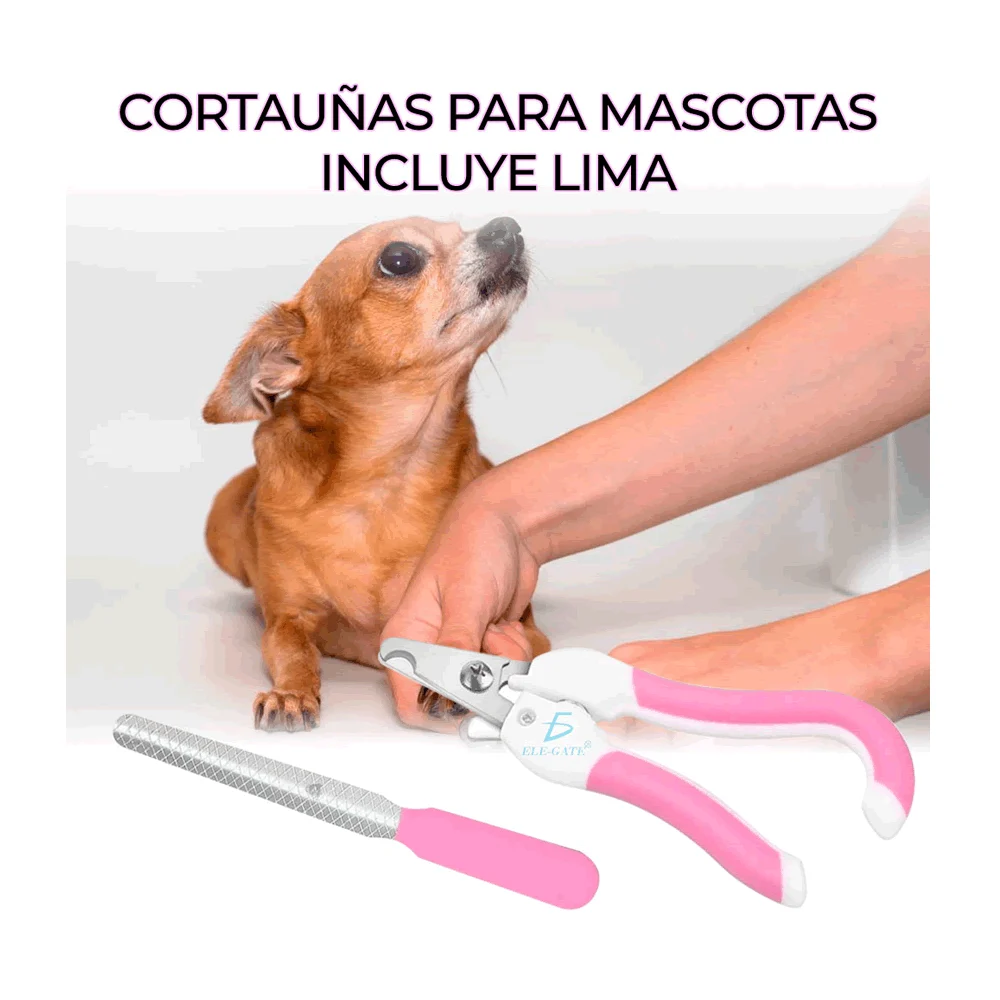 Imagen 5