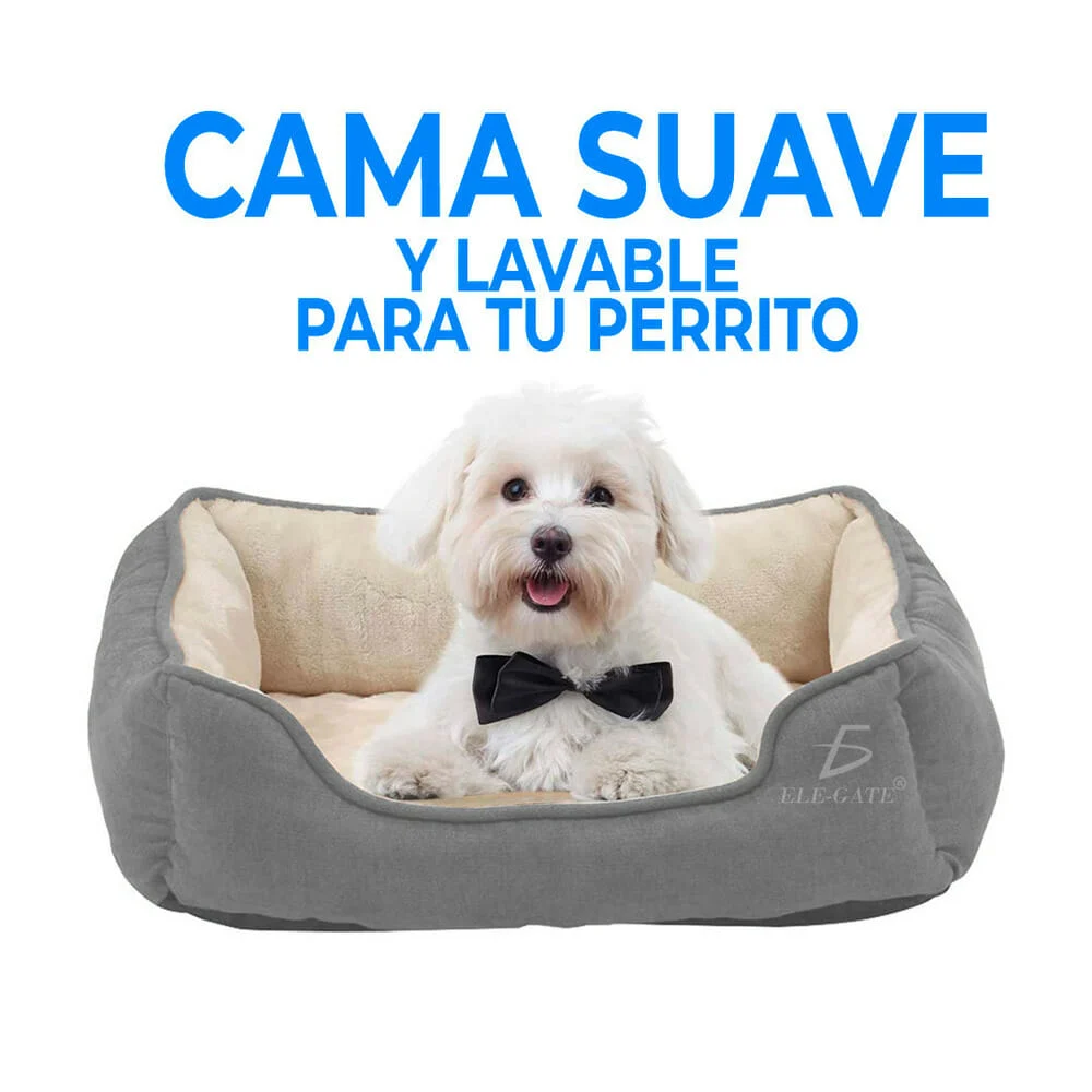 Galería