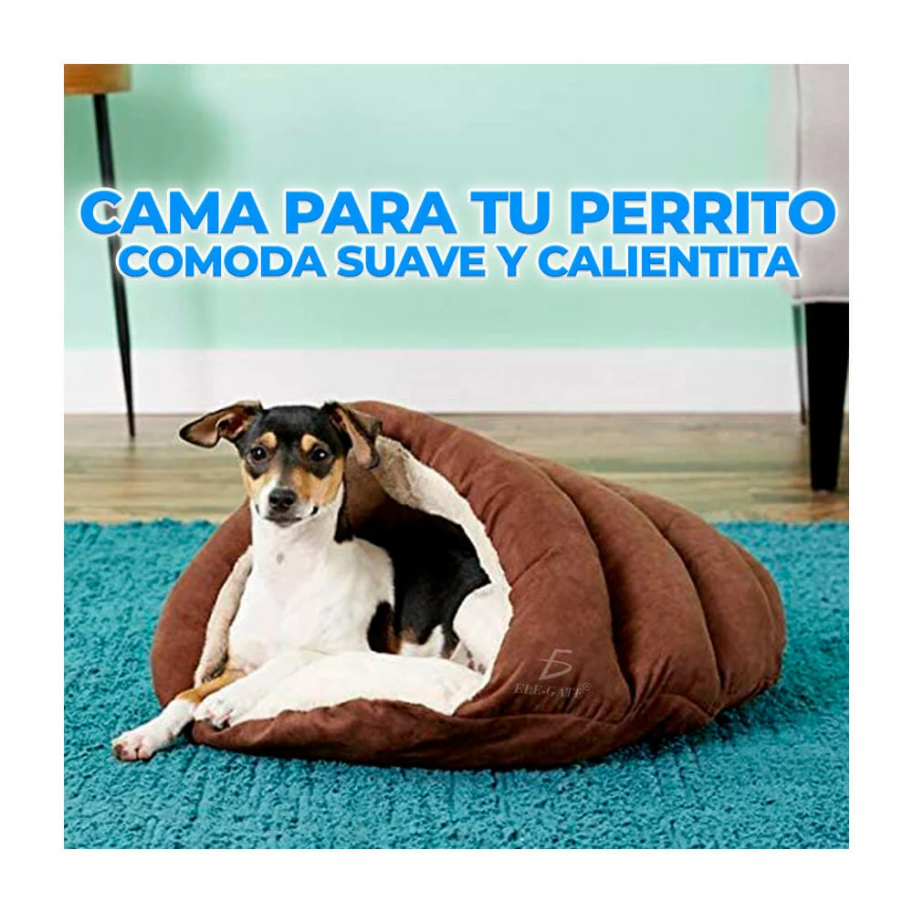 Galería