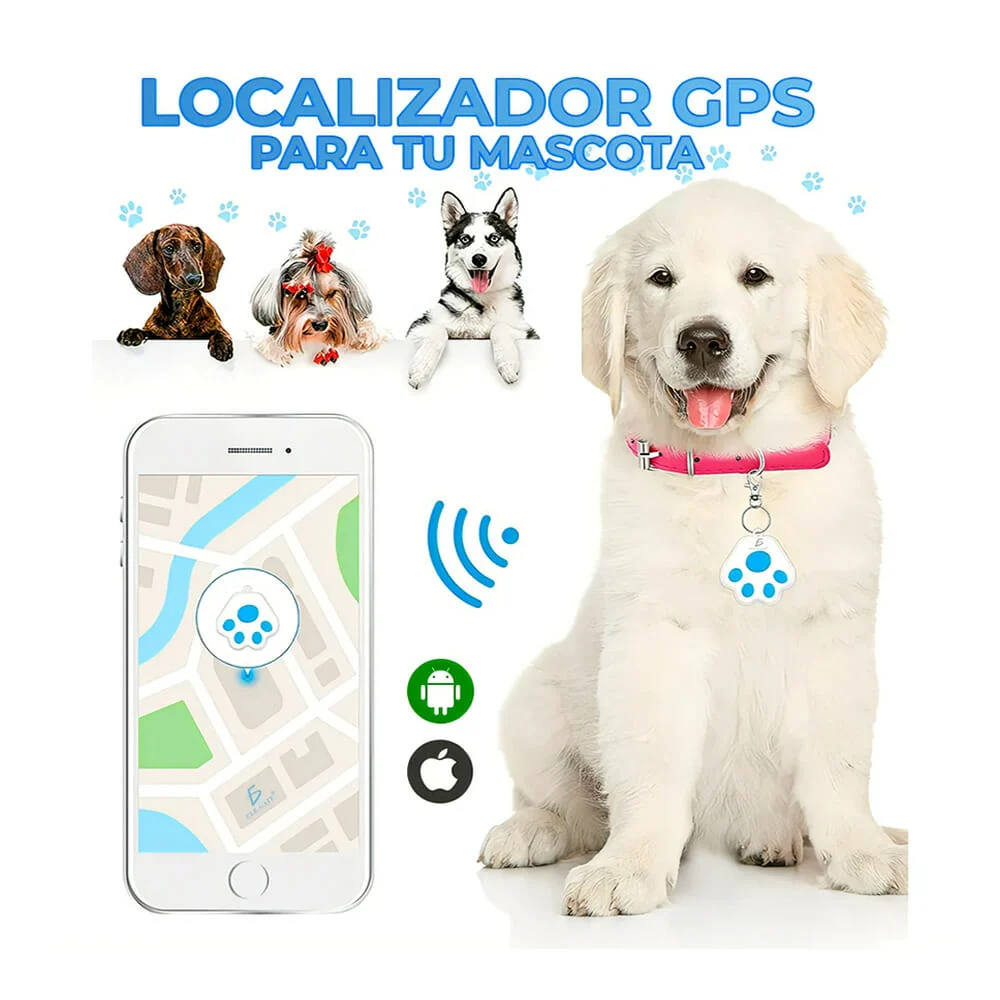 Galería