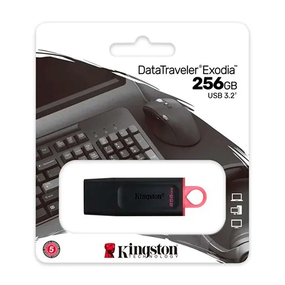 Memoria usb flash kingston 256gb, color negro con asa / dxt/256gb
