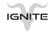 Ignite