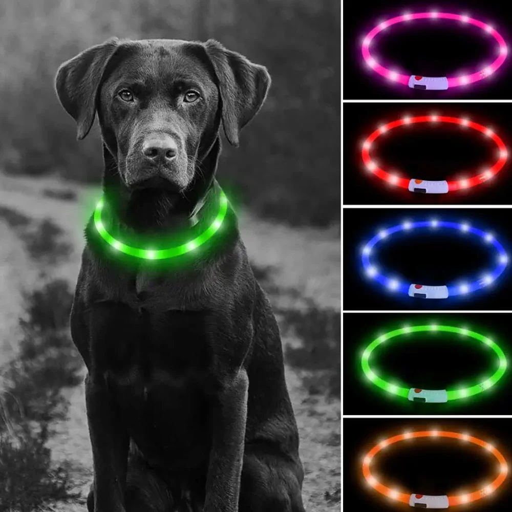 1pza Collar ajustable ele-gate talla grande 70cm con luz led para mascota, variedad de colores / mas.gj12373-l