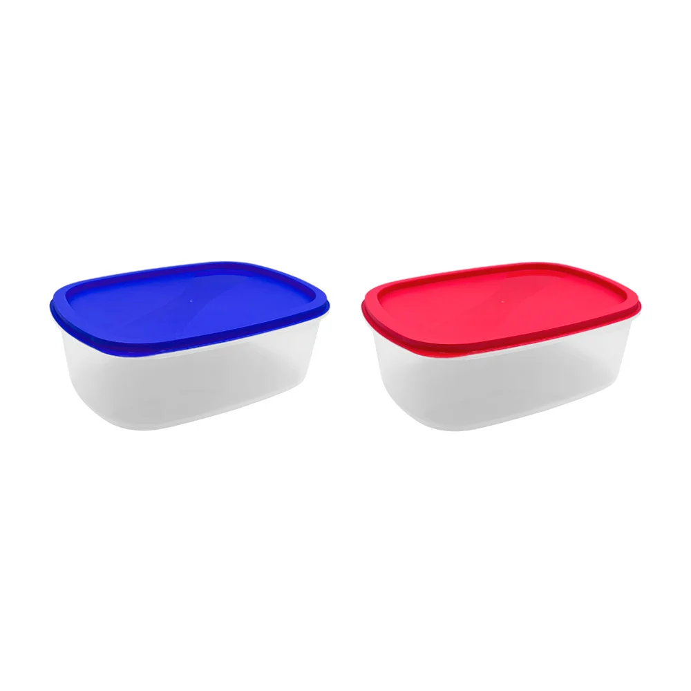 Tupper grande de plástico con capacidad de 4.3litros, 28x21x10.5cm, surtido