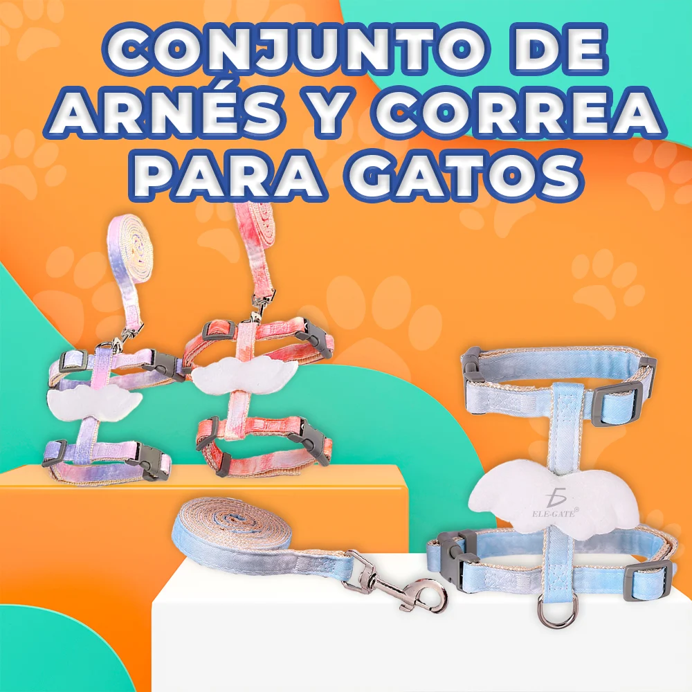 Correa y arnés para mascota pequeña con detalle de alas, variedad de colores / mas.25.13