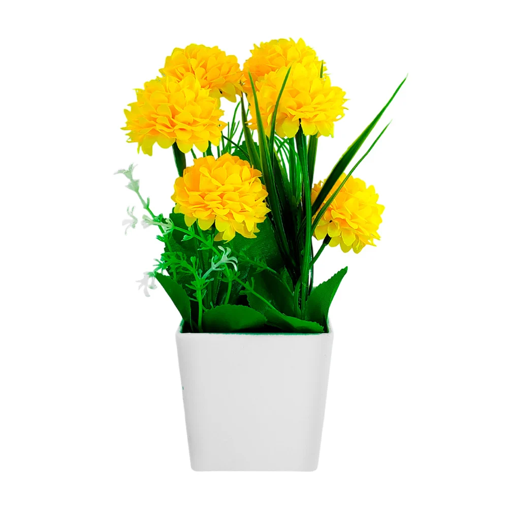 Imagen 2