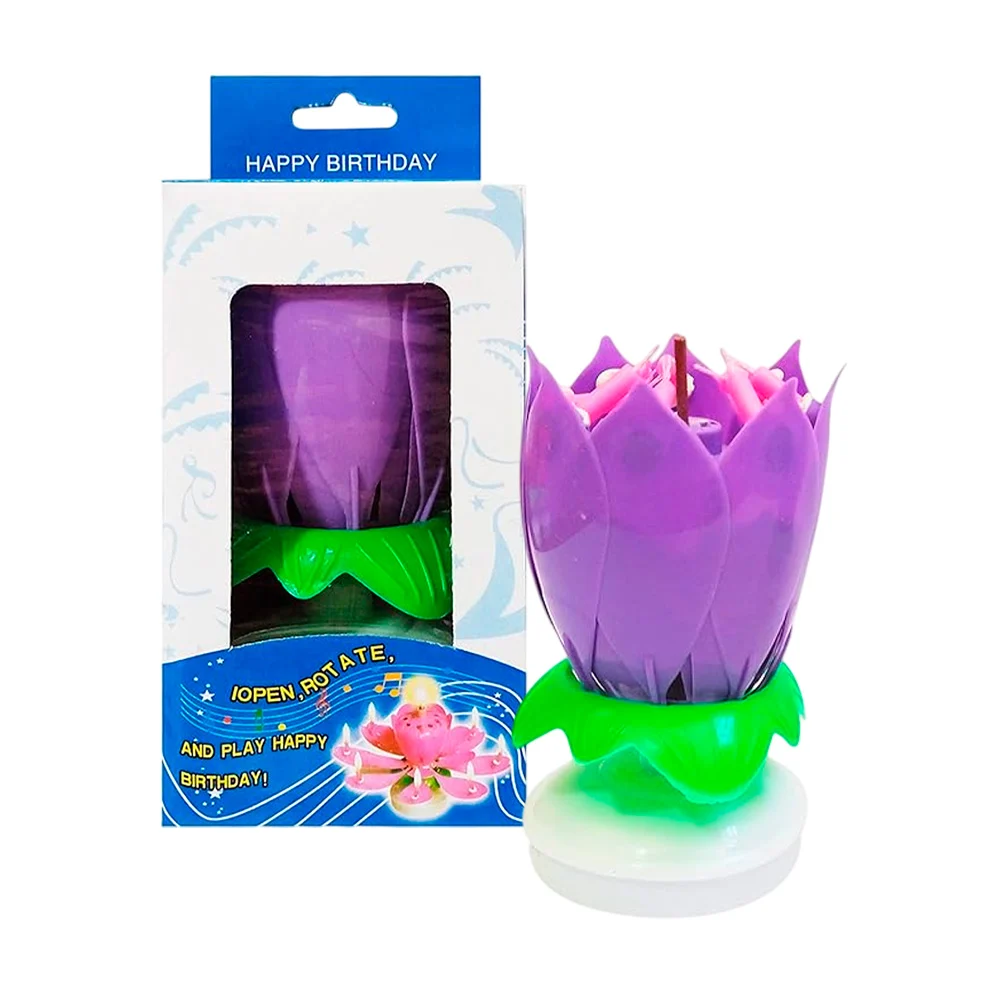Imagen 5