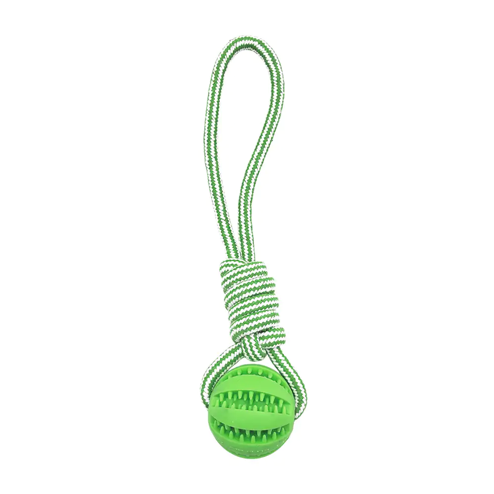 Imagen 6