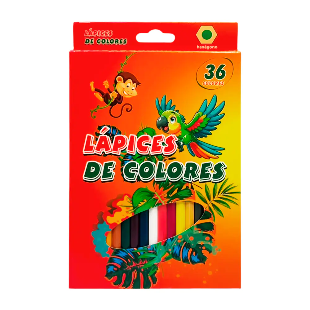 Imagen 6