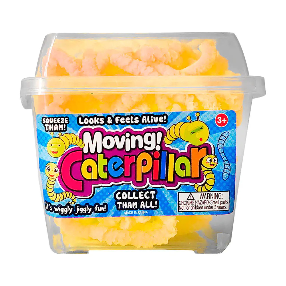 Imagen 2