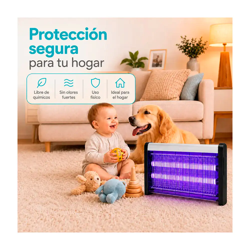 Imagen 2