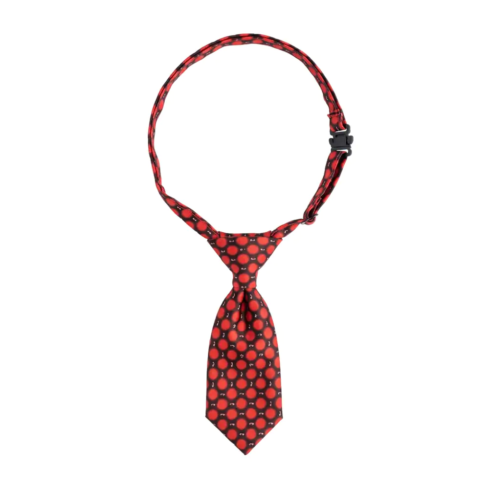 Imagen 10